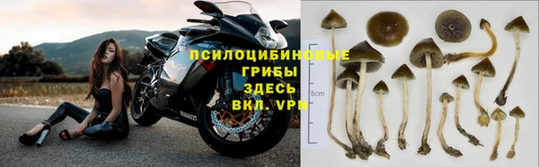 бошки Абинск