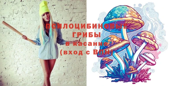 бошки Абинск