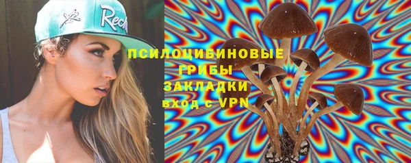 дживик Абаза