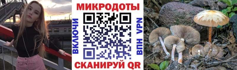 Галлюциногенные грибы GOLDEN TEACHER  KRAKEN   Ессентукская 