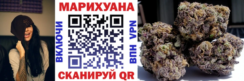 Шишки марихуана планчик купить наркотики цена Ессентукская
